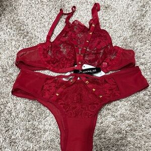 Adore Me Scarlet Lace Bra Set
